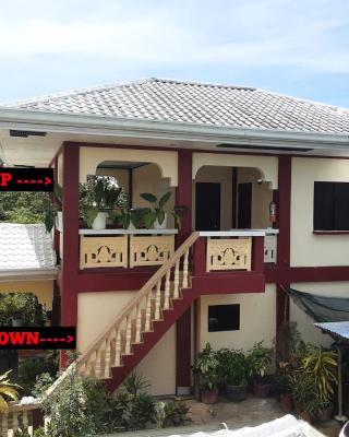 Peace Lily Studio Apartments Panglao