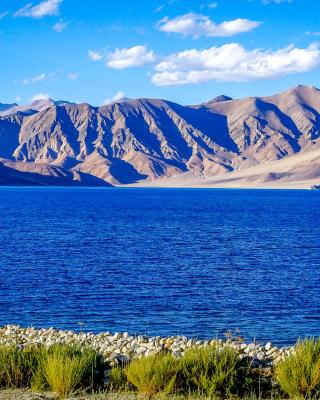 Astrostays at Pangong