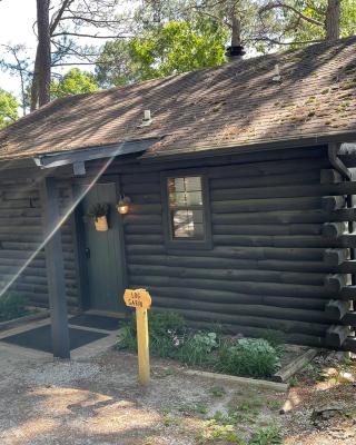 Loblolly Pines Adventure Log Cabin