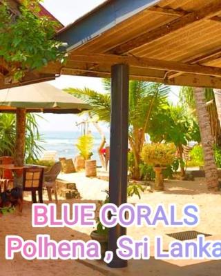 Blue Corals Beach Bungalow