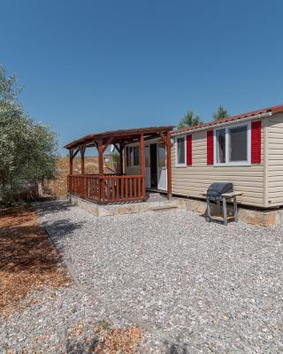 'Olive grove' Camping House-near the beach