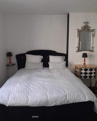 Appartement OH! Duc de Sully