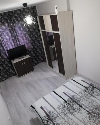 Apartament Brezoi