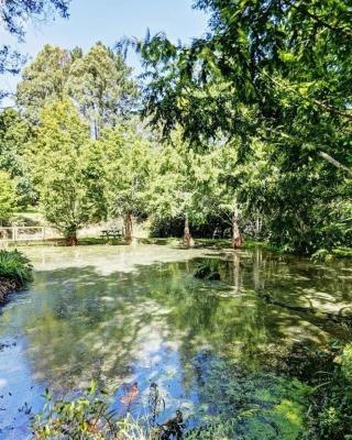 Peaceful cottage in beautiful landscaped native bush gully