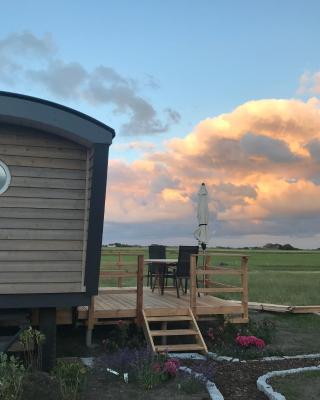 Schäferwagen Tiny House auf dem Friesenhof