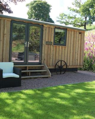 Little Acorn - Luxury shepherd's hut / lodge with private hot tub and garden