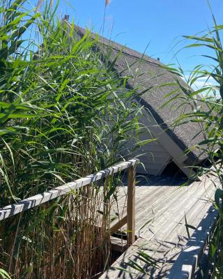 Pfahlbau Seehütte am Neusiedlersee - Waterfront 2