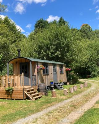 Brook the Shepherd Hut