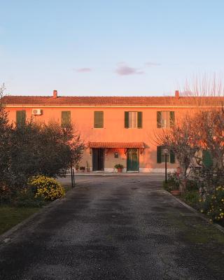 Eco House San Michele