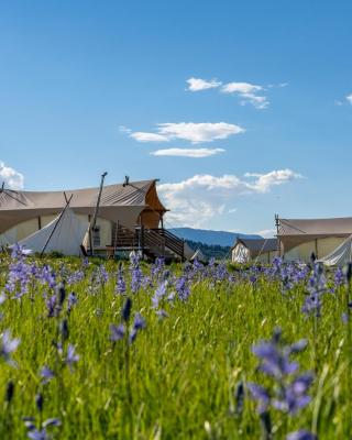 Under Canvas West Yellowstone