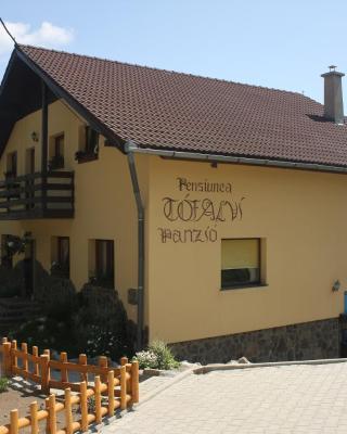 Pension Tofalvi