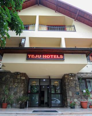 Teju Hotels