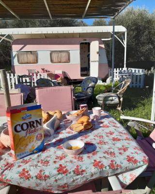 Mary 's Retro Caravan