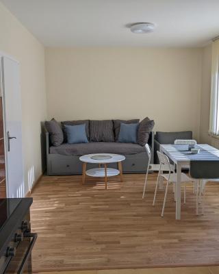 Affordable and Newly Renovated 1-bedroom Apartment