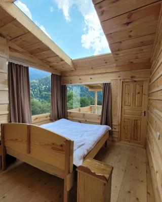 Ecohouse Svaneti