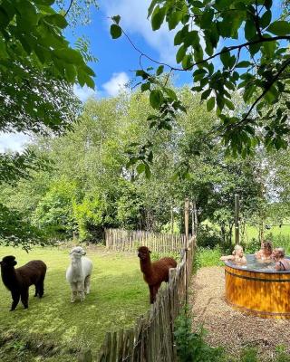 Ingerichte Boho, Indian of Tropical Bell Tent met alpaca's