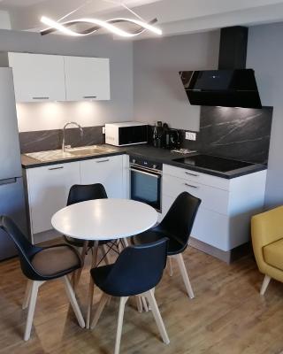 Appartement moderne entièrement rénové