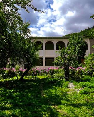 Family Hotel - White House Racha