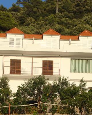 Apartments by the sea Ubli, Lastovo - 8354