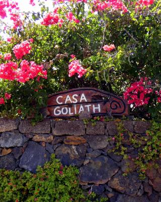 Casa Goliath