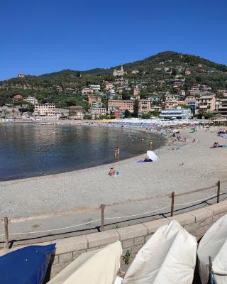 Sole e mare di Liguria