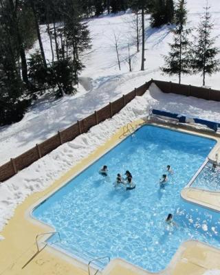 Snowshoe Ski-in & Ski-out at Silvercreek Resort - Family friendly, jacuzzi, hot tub, mountain views