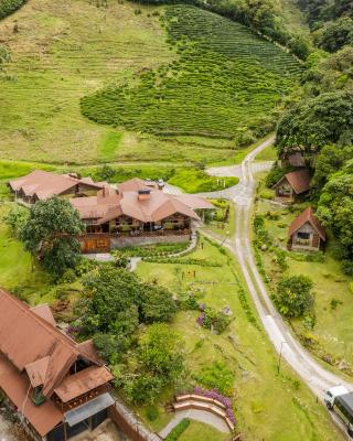 TREE TREK BOQUETE Adventure Park