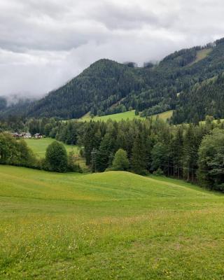 Ferienwohnung Vertatschablick