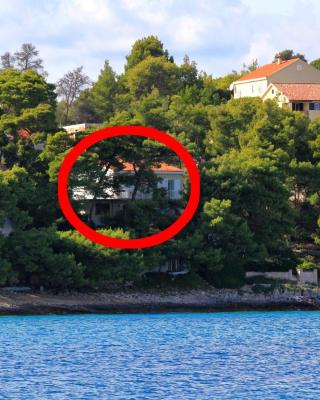 Apartments and rooms by the sea Lumbarda, Korcula - 9272