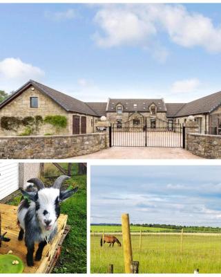 Cottage with Panoramic Views