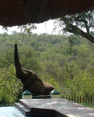 Muweti Bush Lodge