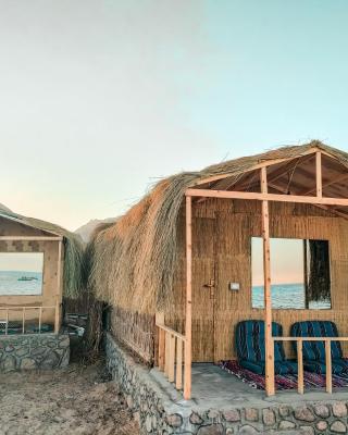 Sinai Life Beach Camp