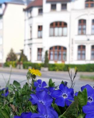 Kamienica pod Kasztanami Świnoujście (Usedom Insel)