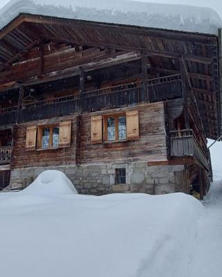 CHARMIEUX appartement en chalet typique