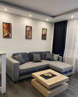 Apartman Mici