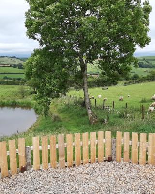 Eco Accommodation Cornflower