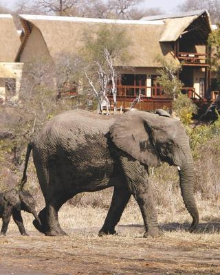 大象平原猎物酒店