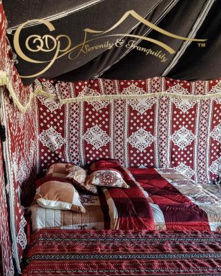 Desert Private Camps - Private Bedouin Tent