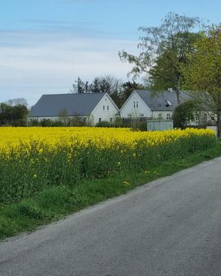 Birkelund BnB