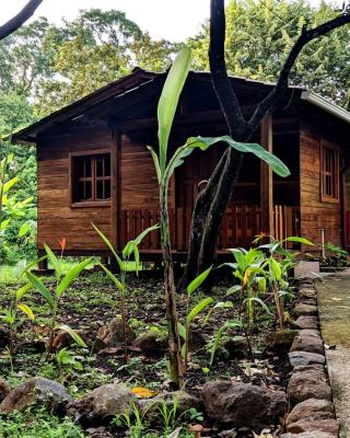 Wood Cabin - Cabana Maderas