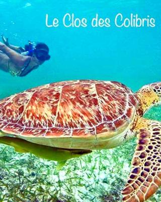LODGE COLIBRIS Piscine Privée vue panoramique mer et montagne pelée , 500 m plage dans un parc , Calme assuré Idéal pour découvrir le nord Caraïbes
