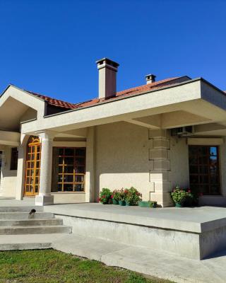 Luxury Home Cetinje