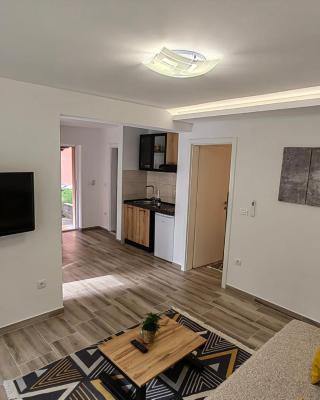 Apartman Biljana