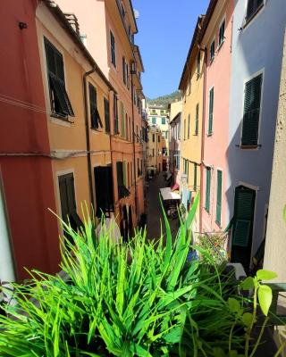 Il Balconcino sul carugio