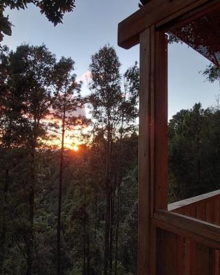 Cabaña en el Bosque de San José del Pacífico