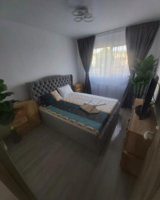 Breaza Comfort Apartment