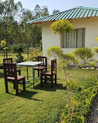 The Tiger Claw Resort