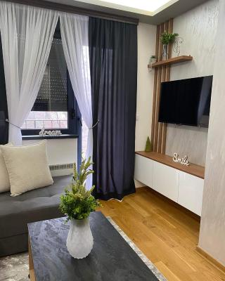 Apartman Sivcevic Titova VIla