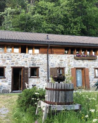 A l'orée du bisse