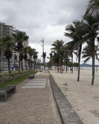 Apto Beira Mar Praia Mirin